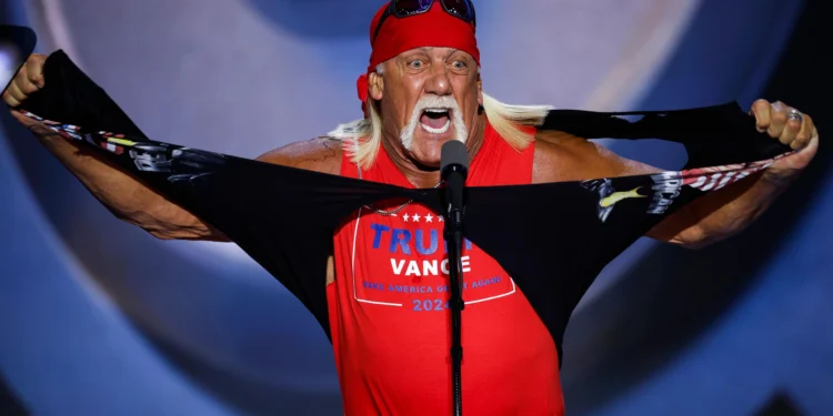 hulk hogan racist